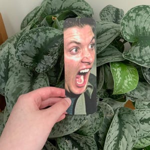 Puede incluir: Un marcap&aacute;ginas rectangular con una impresi&oacute;n fotogr&aacute;fica de alta resoluci&oacute;n de una persona con una expresi&oacute;n de sorpresa intensa o shock, con los ojos muy abiertos y la boca abierta. El marcap&aacute;ginas tiene esquinas redondeadas.