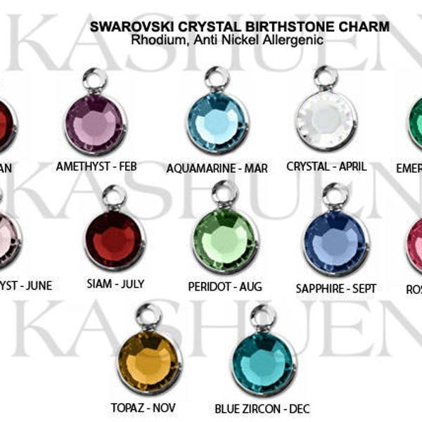 ADD ON - Swarovski Crystal Birthstone Charm Round Circle Drop 6mm Dangle Pendant Personalized Jewelry Best Friends Birthday Christmas Gift