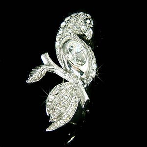 Swarovski Crystal Parrot Psittacines Macaw Cockatiel bird Flower Wild Nature Animal Pin Brooch Jewelry NEW Best Friend Mother Christmas Gift