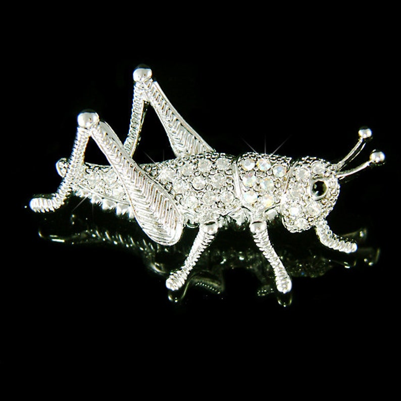 swarovski insect collection
