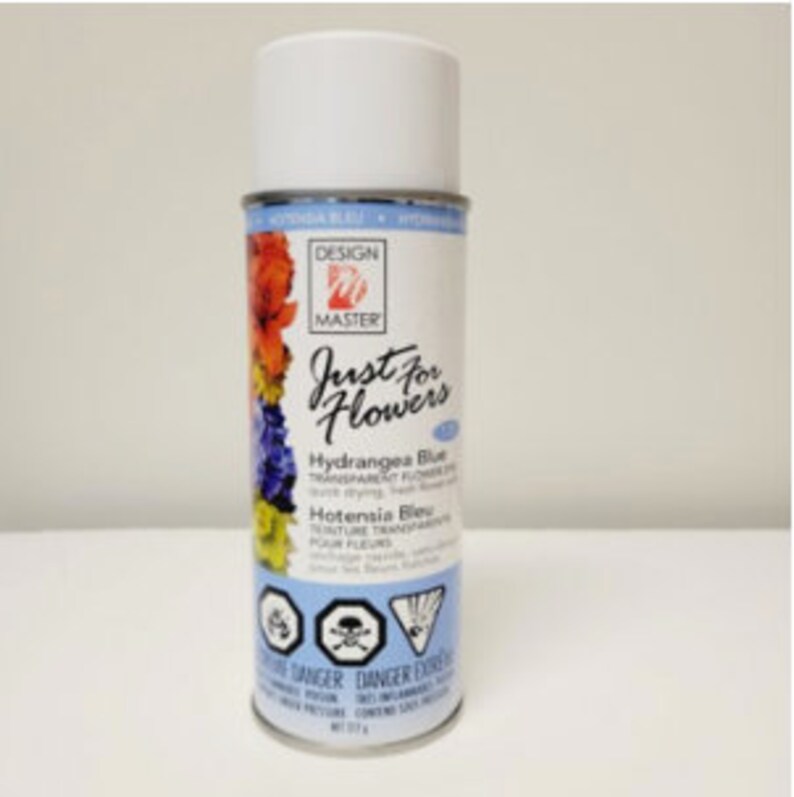 Design Master Just for Flowers Spray Paint Etsy Canada
