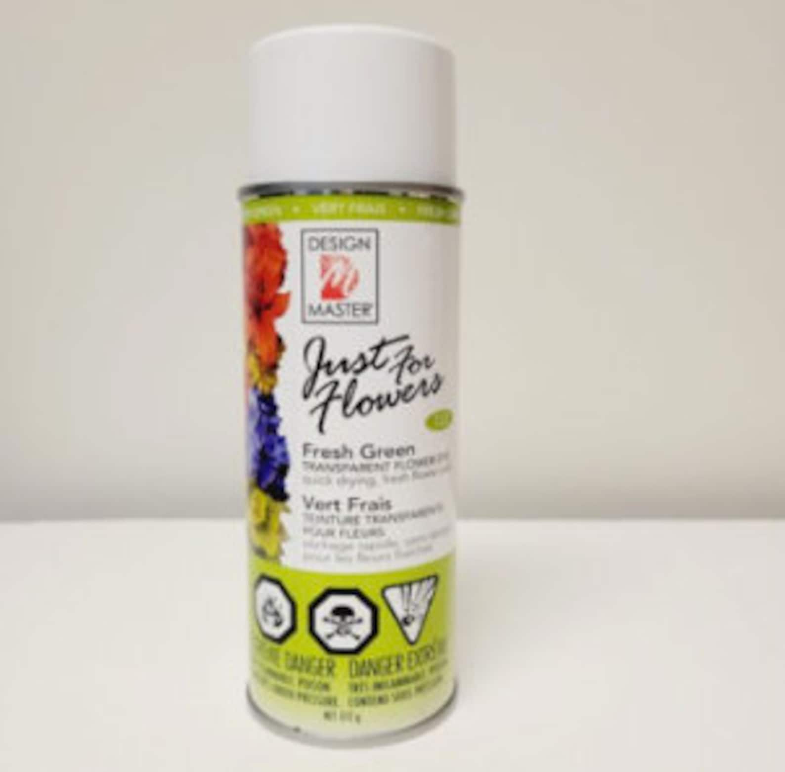 Design Master Just for Flowers Spray Paint Etsy Canada