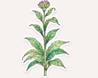 Collectie groene plantenstickers