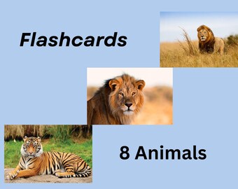 Farm to Jungle: Animal Adventure Flashcards