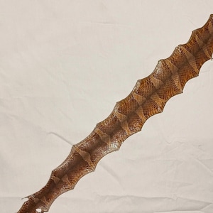 May include: A long, narrow strip of dried snake skin featuring a repeating diamond-shaped pattern in shades of brown, tan, and cream. The edges of the skin are scalloped and textured, displaying the natural scale structure of the reptile.