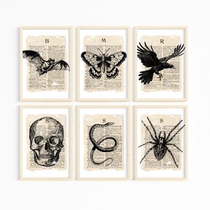 Vintage Halloween-tryckset | Halloween Dictionary-konsttryck | Dark Academia-dekor | Dark Cottagecore Gothic Art Gallery Wall Printable
