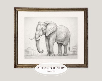 African Elephant Sketch | Elephant Wall Art | Pencil Drawing Of Elephant | SE01