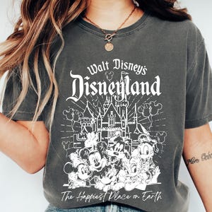 Vintage Disneyland Resort Comfort Colors® Shirt, Retro Disneyland Parks Shirt, Magic Kingdom Shirt, Disney Family Shirts, Disneyworld Shirts