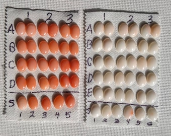 1 pair  or pc coral 7x5mm grade A Mediterranean Angel skin coral cabochons jewelry making findings cabs loose gems not dyed 7mm 5mm