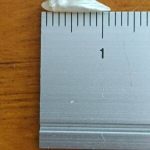 K&ouml;nnte beinhalten: Eine wei&szlig;e, irisierende Muschel mit einer L&auml;nge von etwa 2,5 cm.