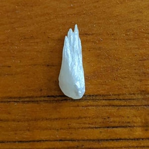 Natural River pearl wing pearl American Tennessee or Mississippi River 9.5mm undrilled uncultured or not cultured