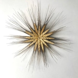 12 inch handmade Black Beard wheat star dried wreath image 1