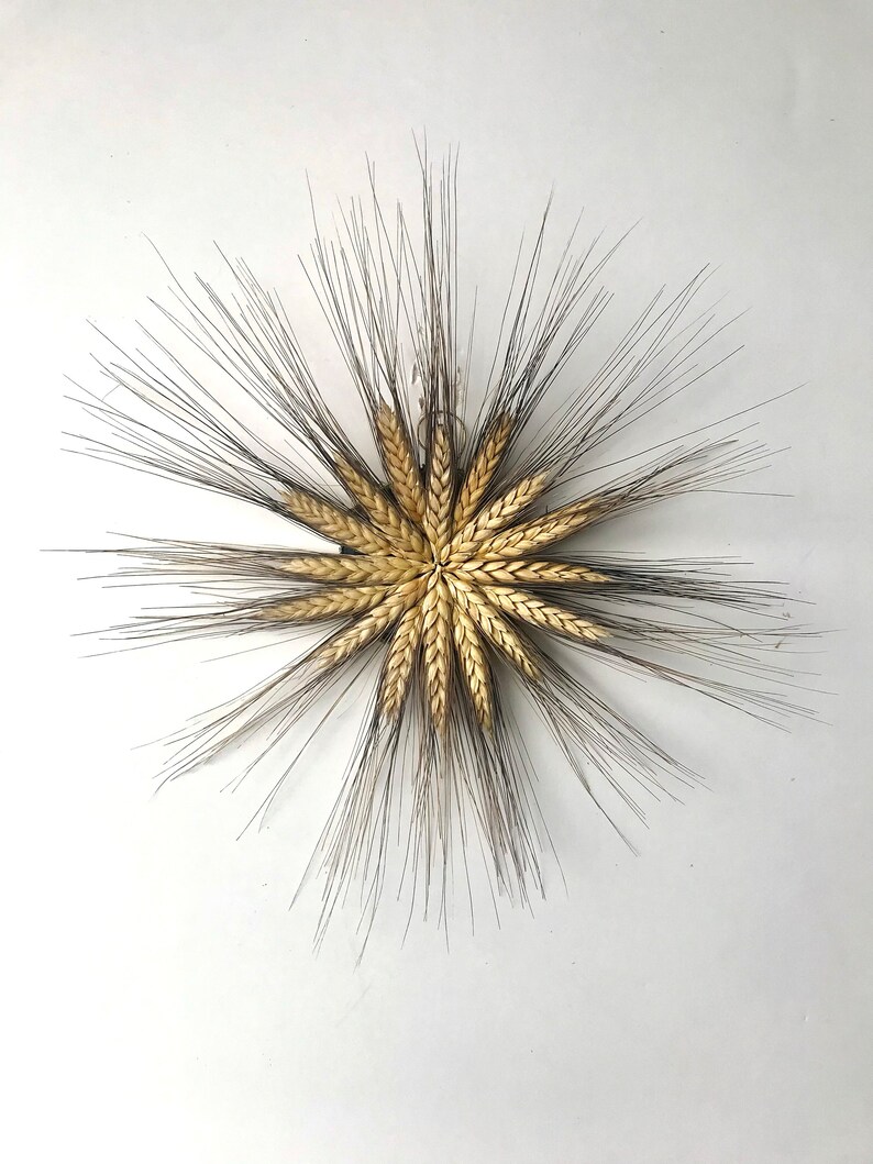 12 inch handmade Black Beard wheat star dried wreath image 1