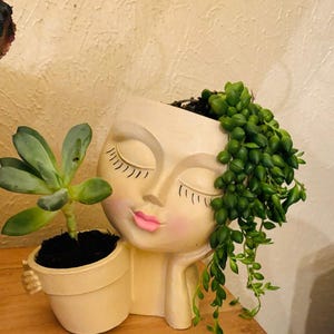 May include: A white ceramic planter shaped like a woman's face with closed eyes and pink lips. The planter has a small succulent plant growing inside and a trailing string of pearls plant cascading over the side.