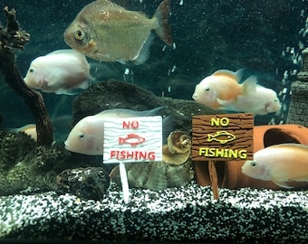 Aquariumdecoratie - Geen visteken