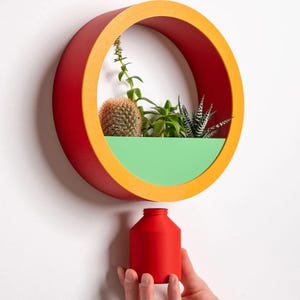 Puede incluir: Una maceta redonda de pared, roja por fuera y con borde naranja. El interior presenta una base verde que alberga varias pequeñas suculentas y un cactus. Debajo se sostiene un pequeño recipiente cilíndrico rojo.