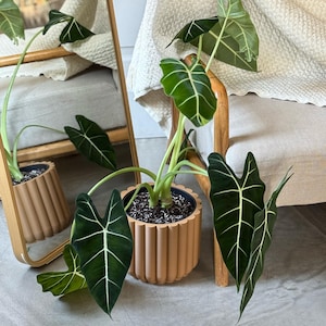 Flower Plant Pot OLIVE GREEN | Minimalist design | Home decor gift image 4
