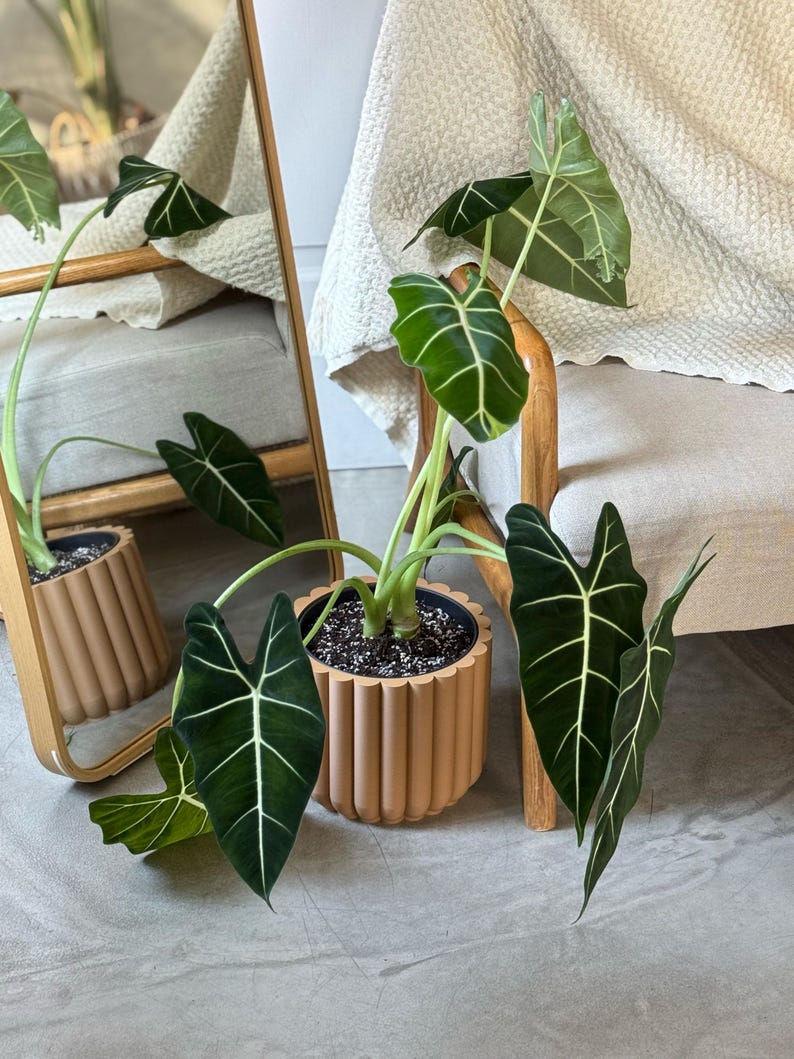 Flower Plant Pot OLIVE GREEN | Minimalist design | Home decor gift image 4