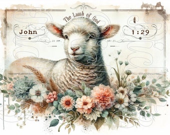 Könnte beinhalten: Ein Aquarellbild eines weißen Lammes mit einem Blumenkranz um den Hals. Das Lamm schaut den Betrachter mit einem sanften Ausdruck an. Der Text "The Lamb of God" ist über dem Lamm geschrieben, und der Text "John 1:29" ist unter dem Lamm geschrieben.