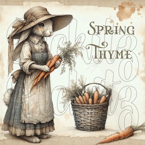 May include: A cartoon rabbit wearing a straw hat and a dress holds a bunch of carrots. The text "Spring Thyme" is written in cursive above the rabbit. A basket of carrots sits on the ground next to the rabbit.