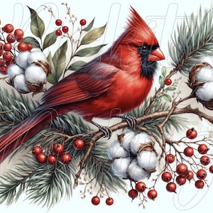 Weihnachtskardinäle Bundle, 4 Styles, Bauernhaus, Sofort Download, bedruckbare 8 x 8 Sublimation Decoupage Dosen Etiketten