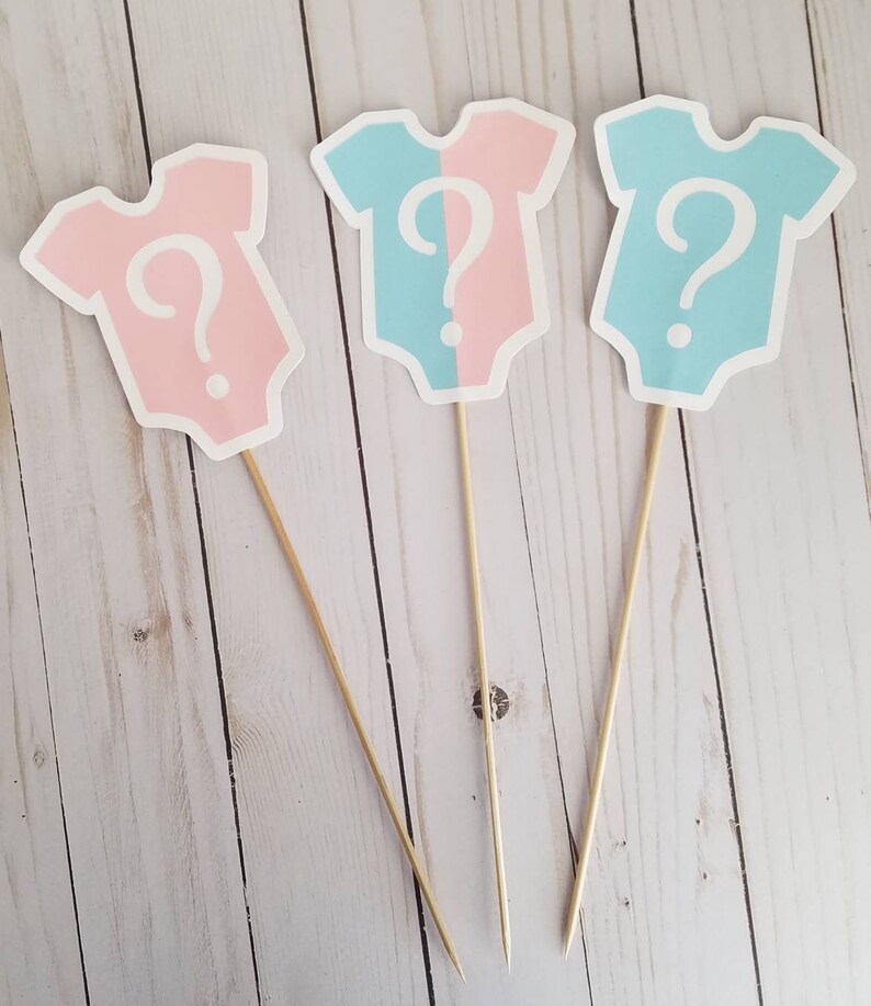 Gender Reveal Pink and Blue Onesies Centerpiece Sticks set of Etsy