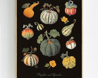 Pumpkins and Squashes Botanical Art Print - Cottagecore Wall Decor, Vintage Autumn Decor, Halloween Pumpkin Wall Art, Victorian Halloween