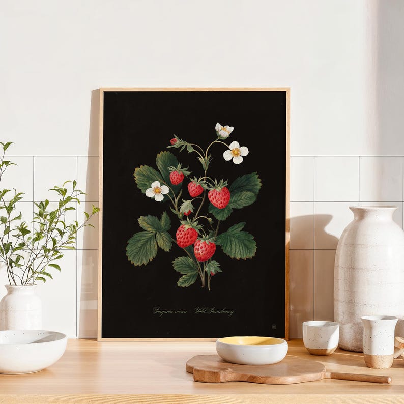 May include: A framed botanical print featuring a detailed illustration of wild strawberries. The artwork showcases ripe red berries, green leaves, and white flowers against a black background. The print includes the scientific name and common name of the plant.