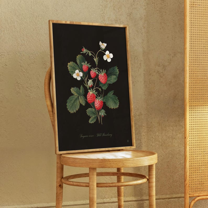 Strawberry Botanical Kitchen Wall Art – Vintage Fruit Print, Wild Strawberry Illustration, Kitchen Wall Decor, Dark Academia Botanical Art image 5