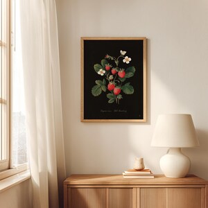Strawberry Botanical Kitchen Wall Art – Vintage Fruit Print, Wild Strawberry Illustration, Kitchen Wall Decor, Dark Academia Botanical Art image 3