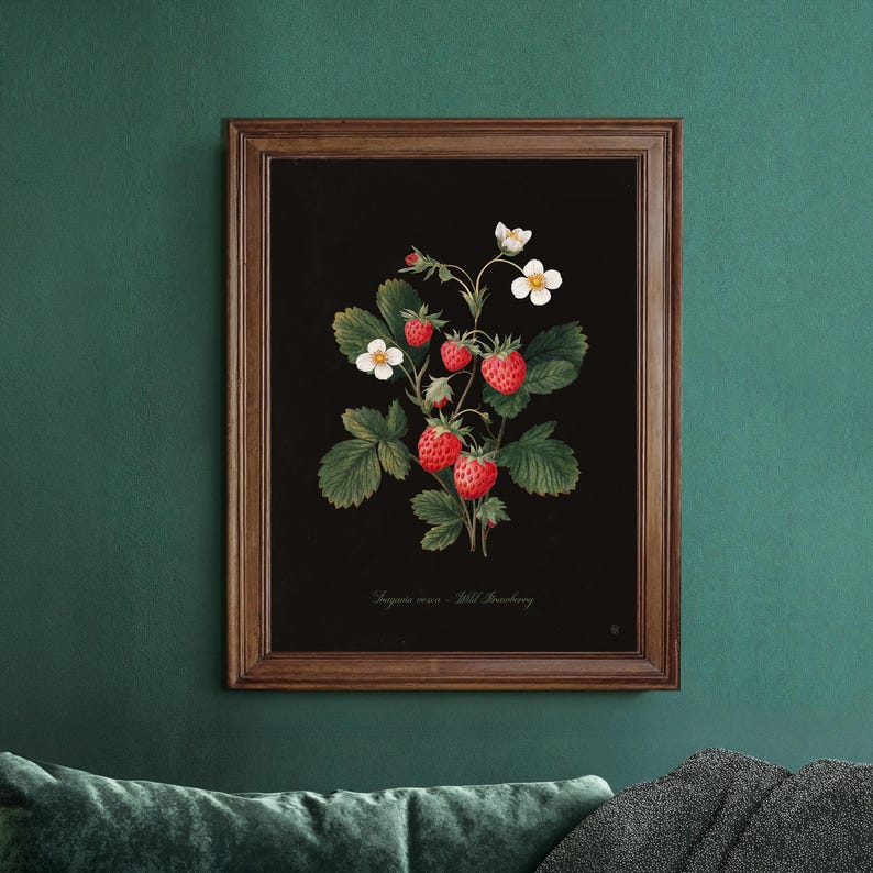 May include: A framed botanical print featuring a detailed illustration of wild strawberries. The artwork showcases vibrant red berries, white flowers, and green leaves against a black background. The wooden frame adds a classic touch to the piece.