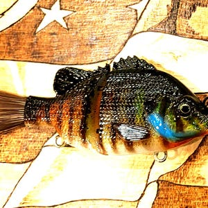 Custom Airbrushed Glide Baits, Custom Fishing Lure, Realistic Hand Painted Lures, Gift for Fisherman, Gift for Anglers, Outdoor Recreation