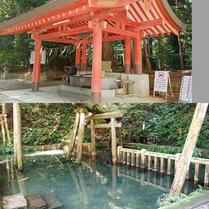 以下が含まれることがあります： 赤い柱が支える、赤と白の屋根を持つ日本の神社。下には石の洗面器と小さな木製のテーブルが見えます。下部には、木造の構造物と石畳の小道がある池があり、緑豊かな木々に囲まれています。