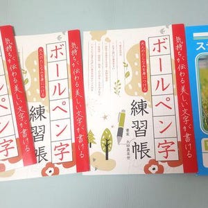 以下が含まれることがあります： 赤い縦書きの文字、緑色のペンのイラスト、小さな木のグラフィックが描かれた3冊の同一の白いボールペン練習帳と、緑の芝生の上にいるハリネズミの写真が表紙にある青い学習帳。