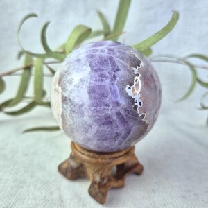 Könnte beinhalten: Eine polierte Amethystkugel, überwiegend lila mit weißen und goldenen Einschlüssen, ruht auf einem kleinen, geschnitzten Holzständer. Die Oberfläche der Kugel hat eine kristalline Textur. Grüne Pflanzenstiele sind im Hintergrund.