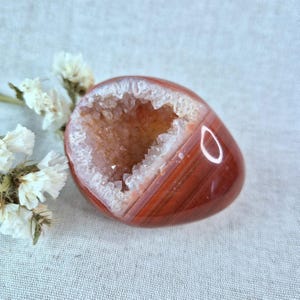 Op de afbeelding: Een gepolijste, eivormige agaatgeode met een levendig rood-oranje buitenkant en een kristallijn interieur. De geode is opengesneden en onthult een sprankelend cluster van kristallen in een holle holte. Witte bloemen staan op de achtergrond.