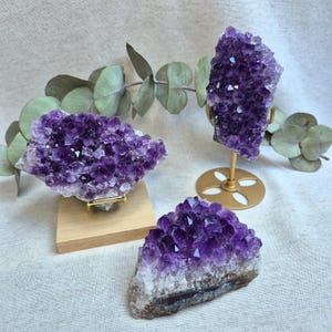 Könnte beinhalten: Drei Amethyst-Kristallgruppen auf Ausstellungsständern. Die Kristalle sind tiefviolett und haben verschiedene Formen und Größen. Die Ständer sind aus goldenem Metall und haben ein schlichtes Design.
