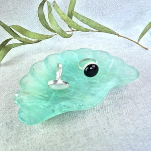 Könnte beinhalten: Zwei Ringe mit silbernen Bändern und Edelsteinbesatz liegen auf einer hellgrünen, blattförmigen Schale. Ein Ring hat einen schwarzen Edelstein, der andere einen weißen Edelstein. Ein Zweig mit grünen Blättern ist im Hintergrund.