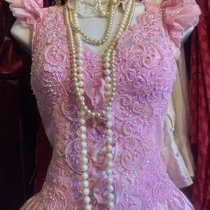 Pink Marie Antoinette Inspired Dress Satin Ruffles Lace Roses - Etsy