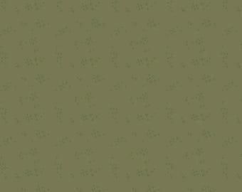 Nature Study 2.0 / Windham Fabrics