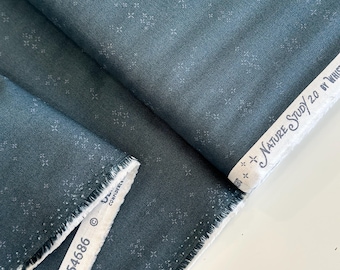 Nature Study 2.0 / Windham Fabrics