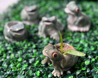 Frog Planter - Handmade Ceramic