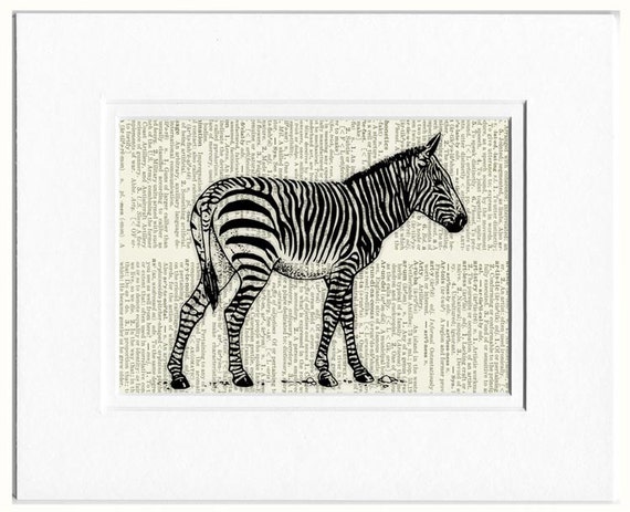 zebra dictionary page print | Etsy