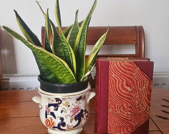 May include: A snake plant with green and yellow striped leaves in a floral planter. Two antique books with red covers and textured patterns are on a wooden table. The background features a wooden chair. The planter has a diameter of approximately 15 cm.