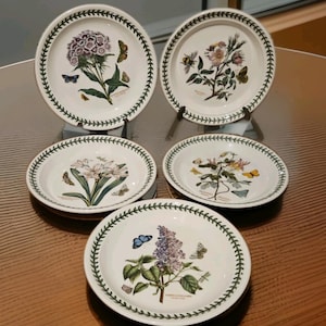 5 X Portmeirion Botanic Garden Salat Teller Von Susan Williams-Ellis 22 cm