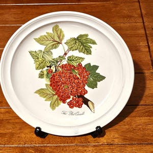 May include: A round white ceramic plate featuring a botanical illustration of a red currant branch with green leaves and clusters of small red berries. The text "The Red Currant" is printed in black script at the bottom of the central illustration.