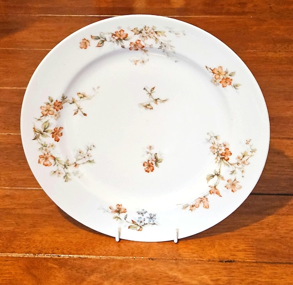 Antique Theodore Haviland Norma Limoges France Porcelain Plates