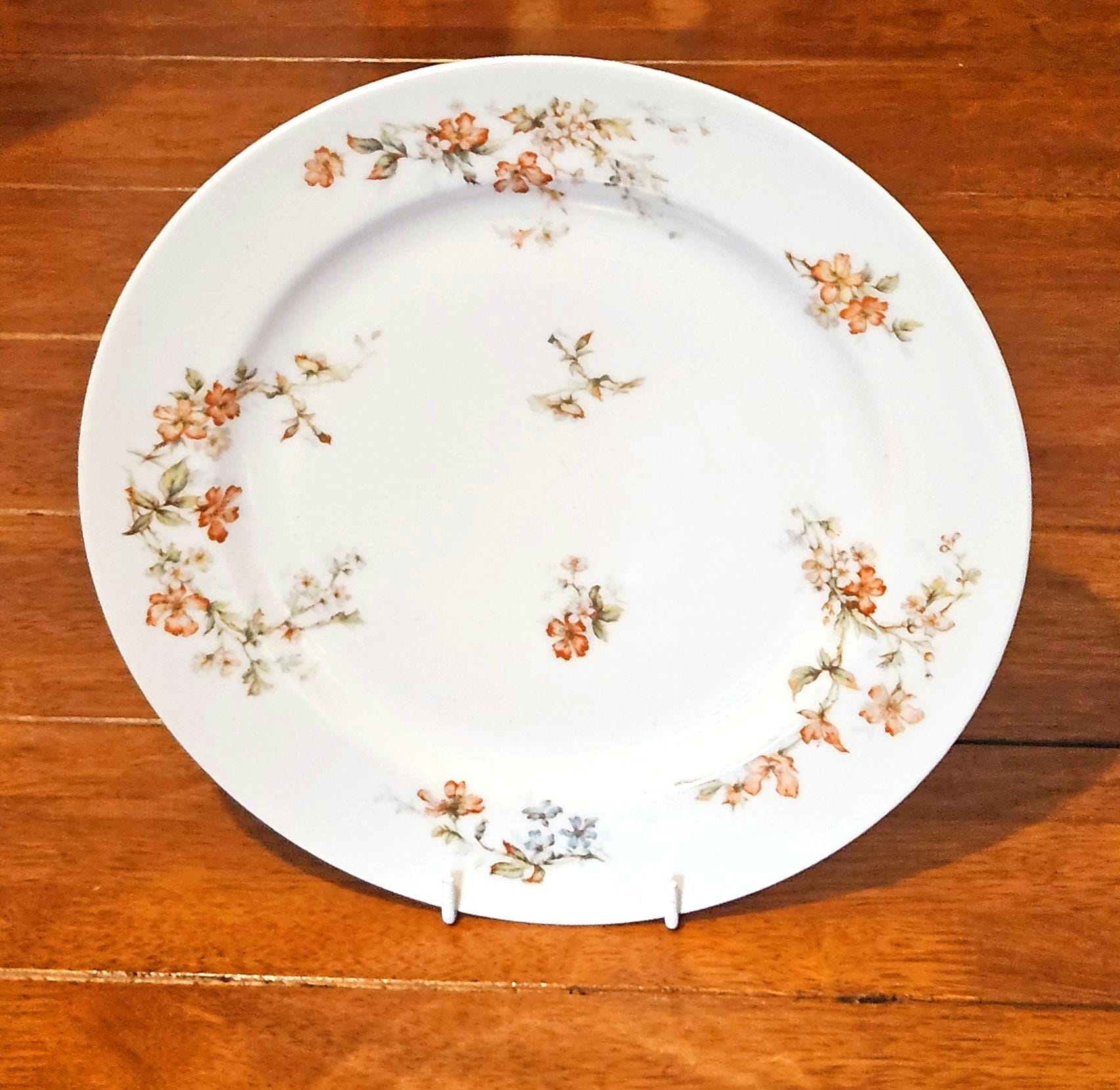LIMOGES Haviland FRANCE プレート 6枚 Antique Theodore Haviland Norma Limoges France Porcelain Plates