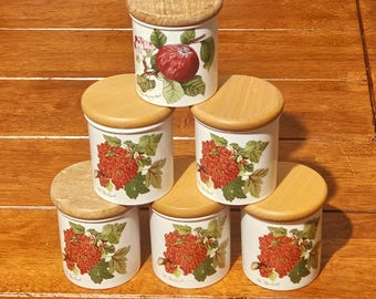 Portmeirion Pomona Spice Jars Set of 6, Red Currant x5 and Apple, Retired Portmeirion Pomona, Vintage Spice Jar Collection, Kitchen Storage,