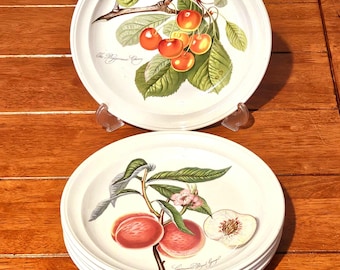 Vintage Portmeirion Pomona Dinner Plate: England Oven-to-tableware